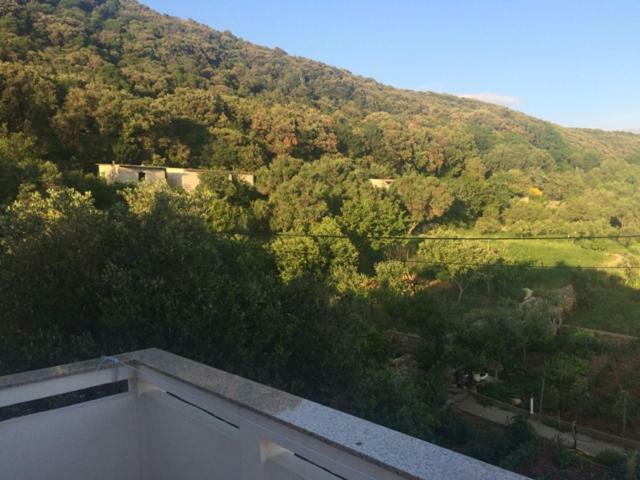 Apartman Supetarska Draga Esterno foto